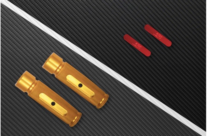 Fussraste hinten HONDA - UNIK von AVDB