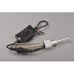 Kit LED HB4 - STANDARD