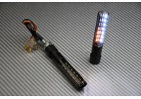 LED-Frontblinker mit Bi-Funktion Tagfahrlicht und sequenziellem Blinken