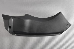 Front Nose Fairing KAWASAKI ZX6R 636 2003 - 2004 Front Nose Fairing KAWASAKI ZX6R 636 2003 - 2004