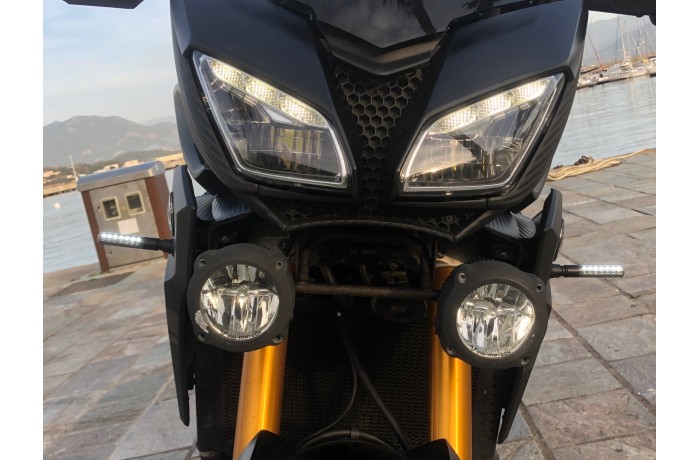 Dual-function LED Daytime Running Lights and Sequential Turn Signal Lights