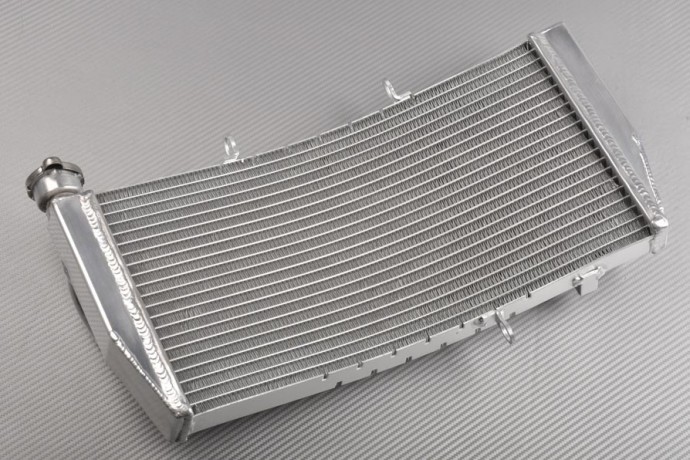 Radiador HONDA CBR 900 / 954 RR 2002 - 2003