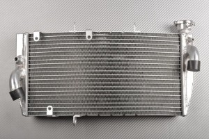 Radiador HONDA CBR 900 / 929 RR 2000 - 2001