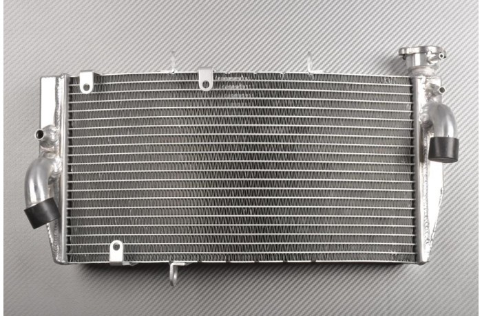 Radiator HONDA CBR 900 / 929 RR 2000 - 2001