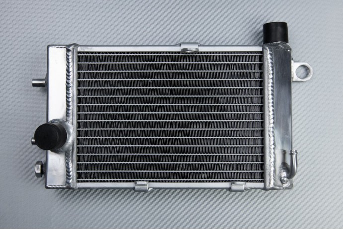 Radiadors APRILIA TUONO / RSV / FALCO / FUTURA 1000 2000 - 2005 Radiadors APRILIA TUONO / RSV / FALCO / FUTURA 1000 2000 - 2005