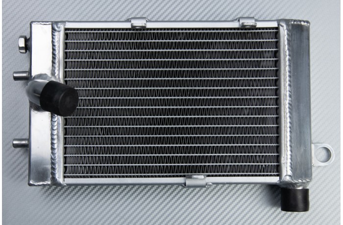 Radiadors APRILIA TUONO / RSV / FALCO / FUTURA 1000 2000 - 2005 Radiadors APRILIA TUONO / RSV / FALCO / FUTURA 1000 2000 - 2005