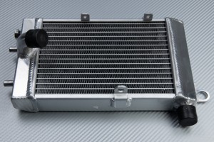 Radiateurs APRILIA TUONO / RSV / FALCO / FUTURA 1000 2000 - 2005