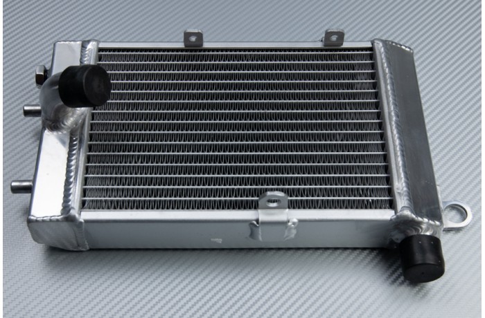 Radiateurs APRILIA TUONO / RSV / FALCO / FUTURA 1000 2000 - 2005