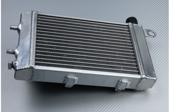 Radiateurs APRILIA TUONO / RSV / FALCO / FUTURA 1000 2000 - 2005