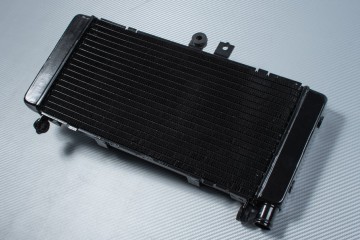 Radiateur HONDA HORNET 900 2002 - 2007