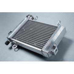 Radiador HONDA CBR 125 R 2004 - 2006