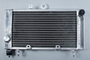 Radiador HONDA CB 500F / CBF 500 2004 - 2007 Radiador HONDA CB 500F / CBF 500 2004 - 2007