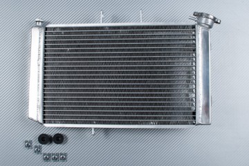 Radiateur TRIUMPH TIGER 800