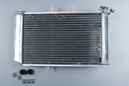 Radiateur TRIUMPH TIGER 800