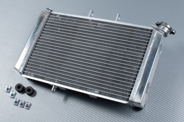 Radiador TRIUMPH TIGER 800 2011 - 2020
