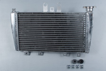 Radiatore TRIUMPH SPEED TRIPLE 1050