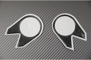ADESIVO Protezione piastra forcella Kawasaki ZX6R 2005 / 2006