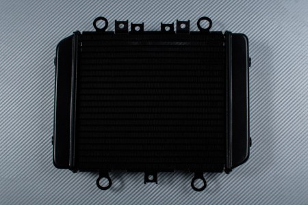 Radiatore KAWASAKI ER5 / ER5N 1996 - 2006