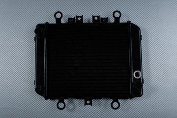 Radiator KAWASAKI ER5 / ER5N 1996 - 2006 Radiator KAWASAKI ER5 / ER5N 1996 - 2006