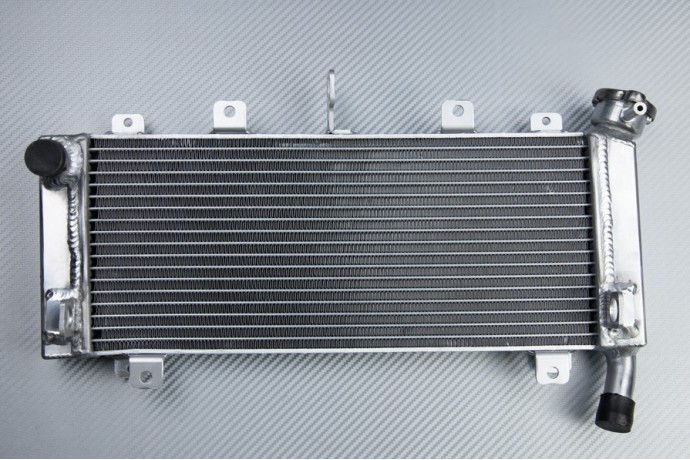 Radiador KAWASAKI Z650 / NINJA 650 R 2017 - 2024