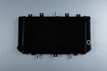 Radiatore KAWASAKI Z750 / Z750S 2004 - 2007
