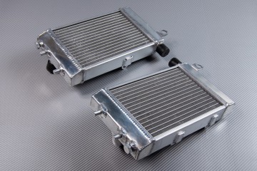Radiadors APRILIA TUONO / RSV / FALCO / FUTURA 1000 2000 - 2005 Radiadors APRILIA TUONO / RSV / FALCO / FUTURA 1000 2000 - 2005