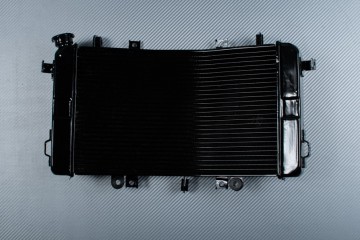Kühler SUZUKI BKING 1340 2007 - 2014