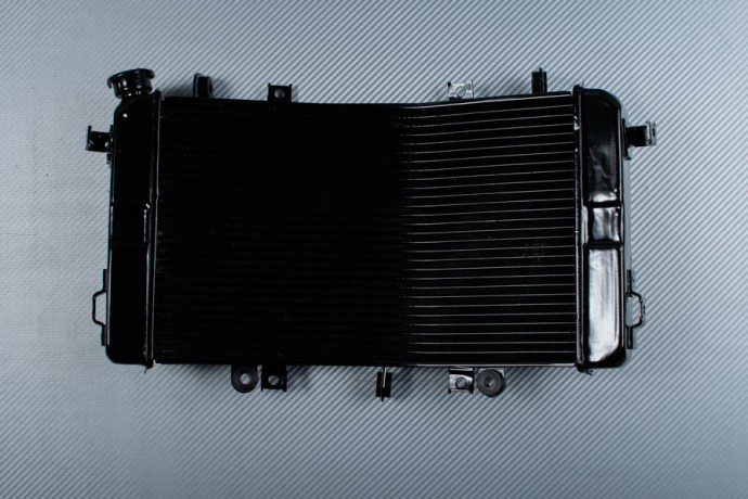 Radiateur SUZUKI BKING 1340 2007 - 2014 Radiateur SUZUKI BKING 1340 2007 - 2014