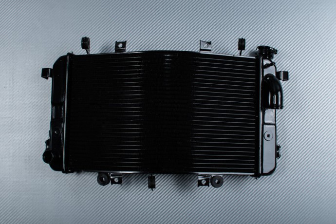 Radiator SUZUKI BKING 1340 2007 - 2014 Radiator SUZUKI BKING 1340 2007 - 2014