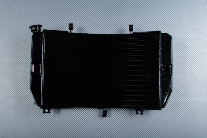 Radiador SUZUKI GSXR 600 750 2000 - 2003 Radiador SUZUKI GSXR 600 750 2000 - 2003