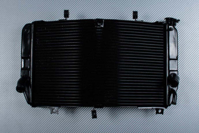 Radiador SUZUKI GSXR 600 750 2000 - 2003 Radiador SUZUKI GSXR 600 750 2000 - 2003