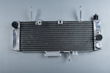 Radiateur SUZUKI SV 650 S 2003 - 2004