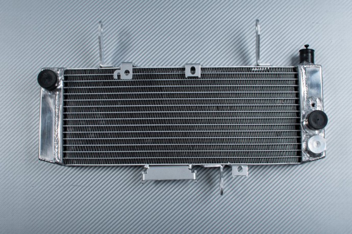 Radiador SUZUKI SV 650 S 2003 - 2004