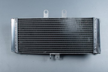 Radiateur SUZUKI GSF 650 BANDIT S / N 2007 - 2016