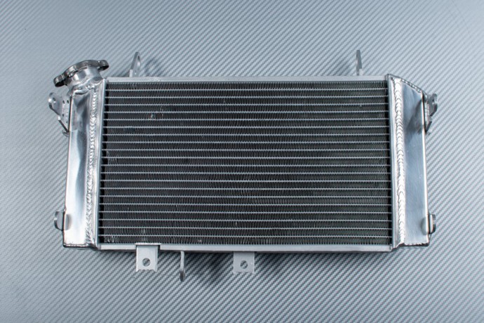 Radiator SUZUKI GLADIUS 650 SFV 2009 - 2017