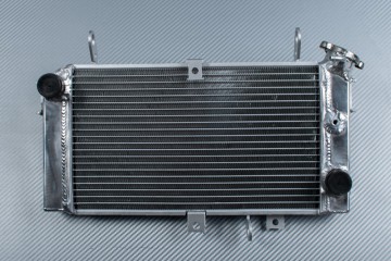 Radiador SUZUKI GLADIUS 650 SFV 2009 - 2017