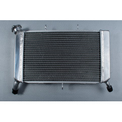 Radiateur YAMAHA XJ6 / DIVERSION 600 / F / FZ6R 2009 - 2017