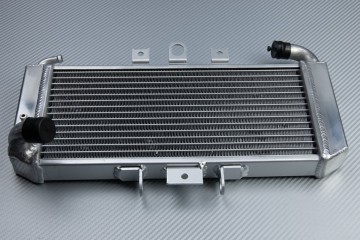 Radiator YAMAHA FZS 600 / FAZER 600 1998 - 2003 Radiator YAMAHA FZS 600 / FAZER 600 1998 - 2003