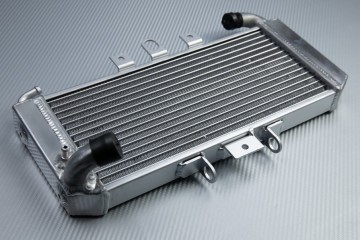 Radiator YAMAHA FZS 600 / FAZER 600 1998 - 2003 Radiator YAMAHA FZS 600 / FAZER 600 1998 - 2003