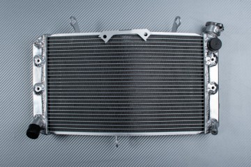 Radiator YAMAHA FAZER 1000 FZ8 / FZ1 / FAZER 800 / 1000 2006 - 2016 Radiator YAMAHA FAZER 1000 FZ8 / FZ1 / FAZER 800 / 1000 2006 - 2016