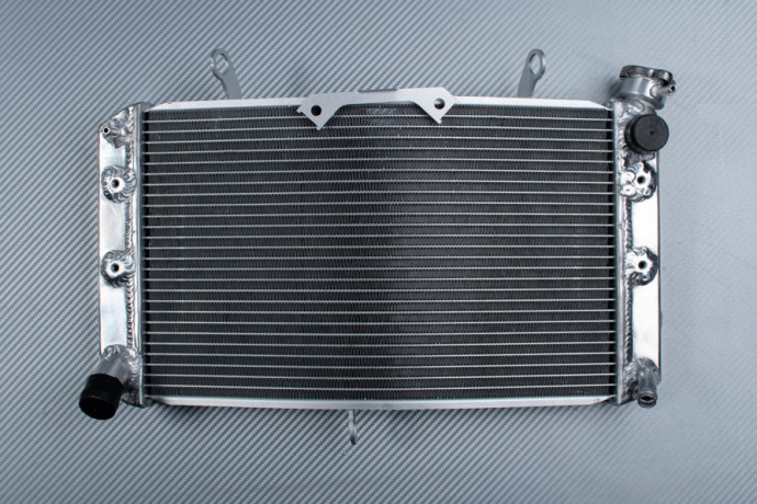 Radiator YAMAHA FAZER 1000 FZ8 / FZ1 / FAZER 800 / 1000 2006 - 2016 Radiator YAMAHA FAZER 1000 FZ8 / FZ1 / FAZER 800 / 1000 2006 - 2016