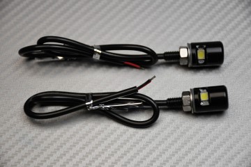 Pareja de luces de matrícula LED de enroscar