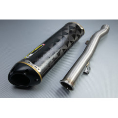 Endschalldämpfer SUZUKI GSXF Katana 600 / 750 1998 - 2006 TWO BROTHERS Carbon