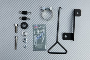 Escape TWO BROTHERS Carbono KAWASAKI NINJA 300 R / Z300 2011 - 2016