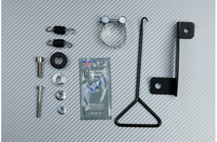 Escape TWO BROTHERS Carbono KAWASAKI NINJA 300 R / Z300 2011 - 2016