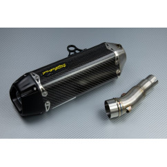Scarico TWO BROTHERS Carbonio KAWASAKI NINJA 300 R / Z300 2011 - 2016