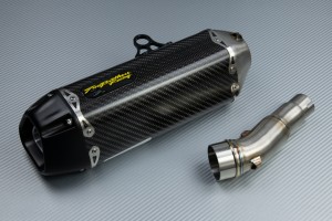 Échappement TWO BROTHERS Carbone KAWASAKI NINJA 300 R / Z300 2011 - 2016