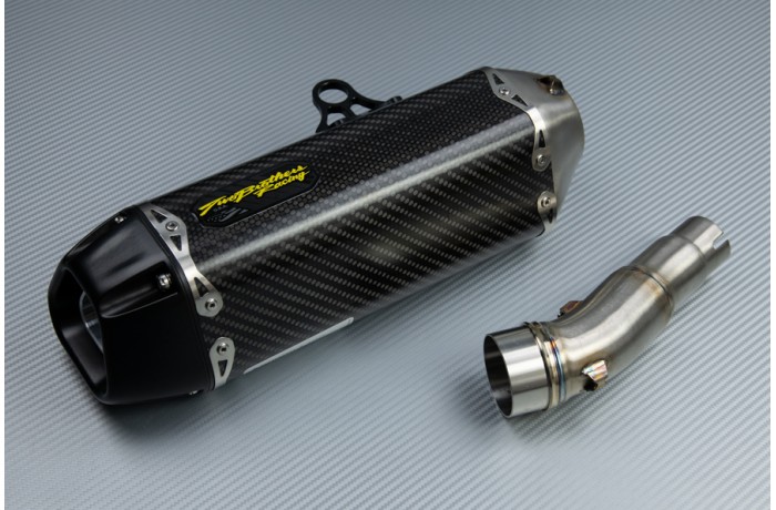 Escape TWO BROTHERS Carbono KAWASAKI NINJA 300 R / Z300 2011 - 2016