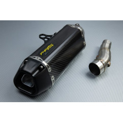 Scarico TWO BROTHERS Carbonio KAWASAKI NINJA 300 R / Z300 2011 - 2016