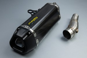 Escape TWO BROTHERS Carbono KAWASAKI NINJA 300 R / Z300 2011 - 2016